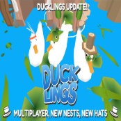 Ducklings